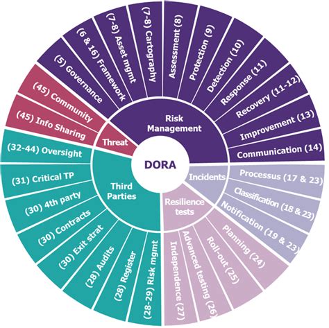 imbm dora